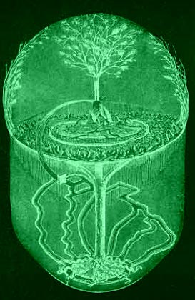 Tree of Life Picture